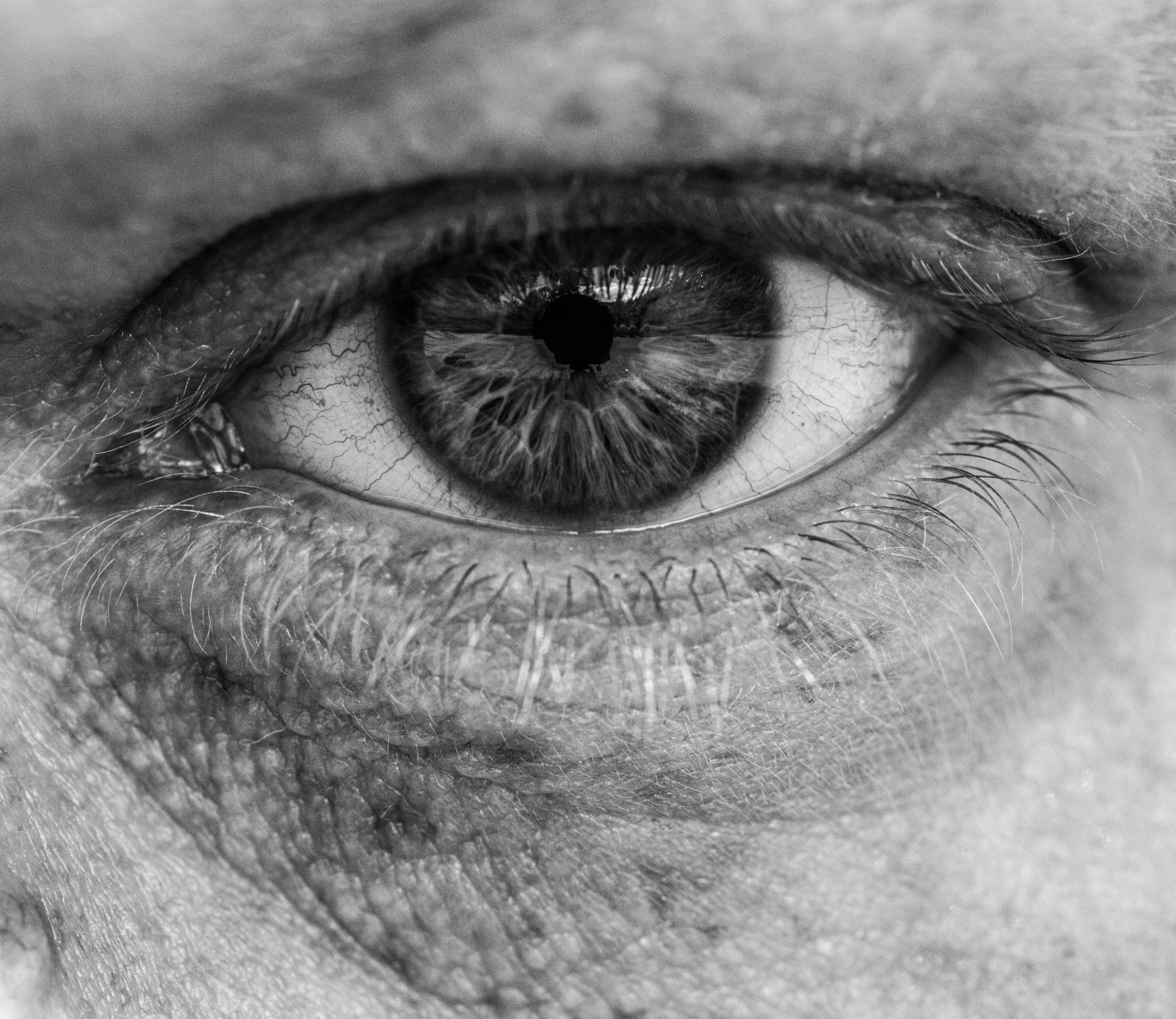 Human face