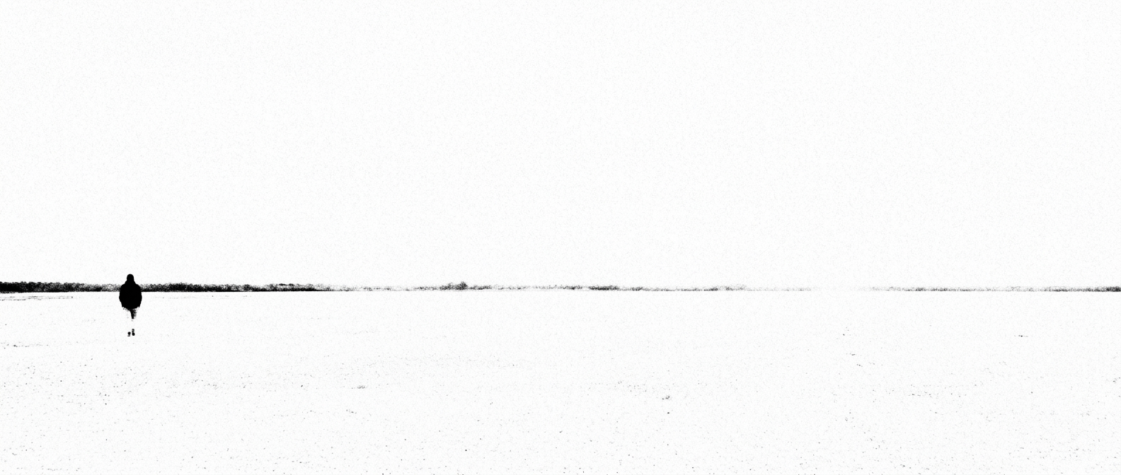 Figure crossing, high contrast